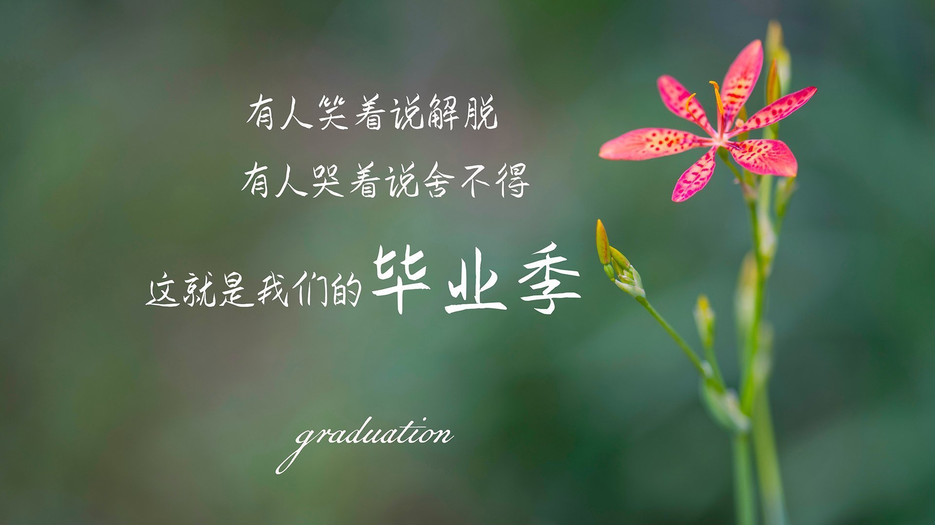九游(jiuyou)官方网站-【冠军经验】丁俊晖：惟有坚持才能夺取荣耀，丁俊晖的冠军分别是什么