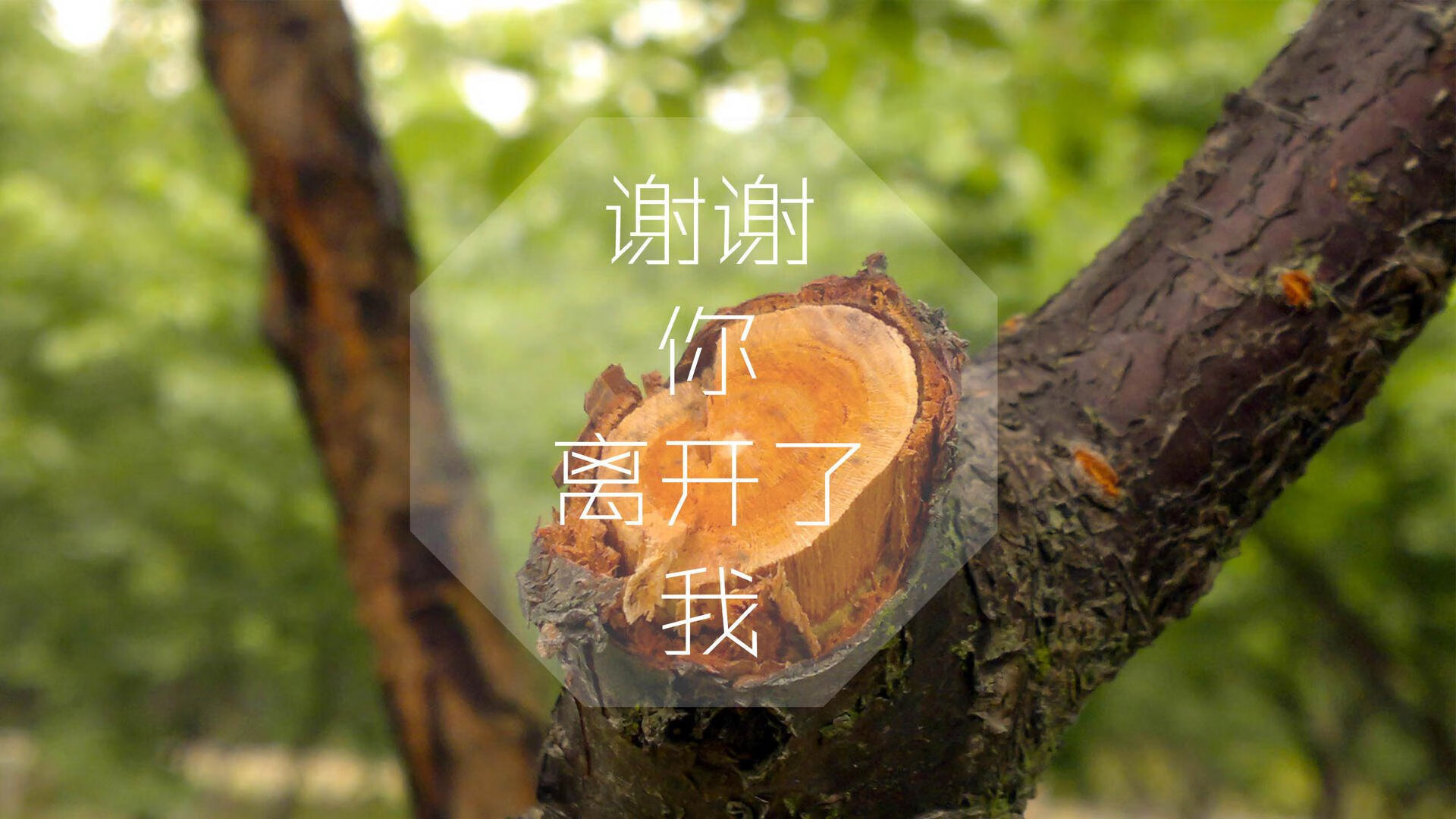 九游游戏中心-【青少年冠军】丁俊晖的成长细节，激励下一代球员，丁俊晖成长之路