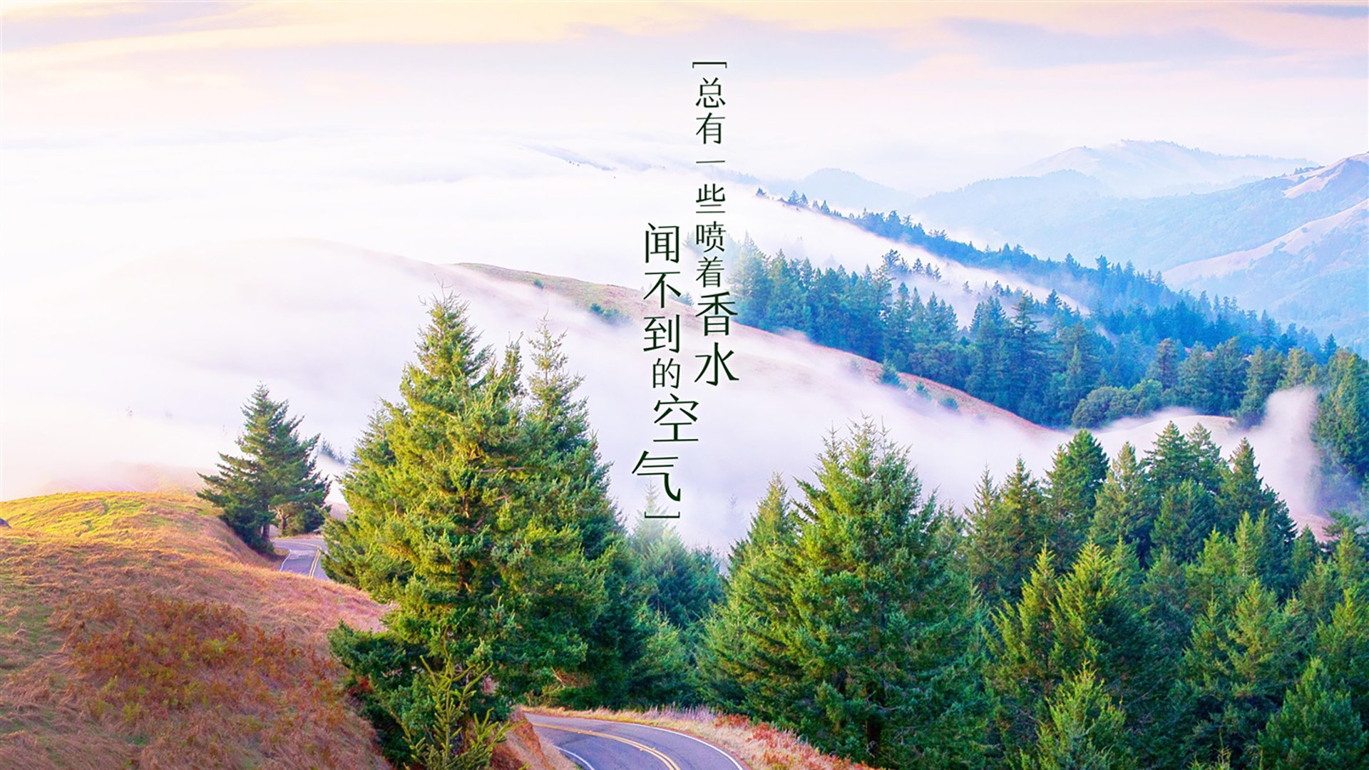 JIUYOU GAMING-激战正酣！德国女队对阵南非，胜者晋级下一轮，德国vs南非