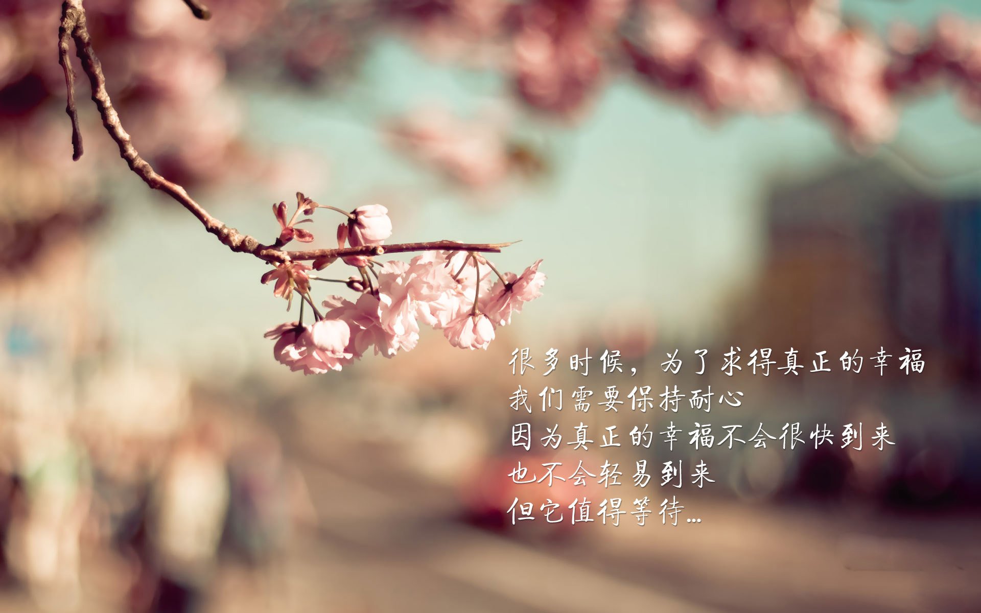 九游网页版官网入口-冲刺阶段划频提升，爆发力更强，冲刺阶段是什么意思