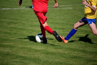 九游-男篮国家队专项安排外线射手训练增强火力输出，男篮外援