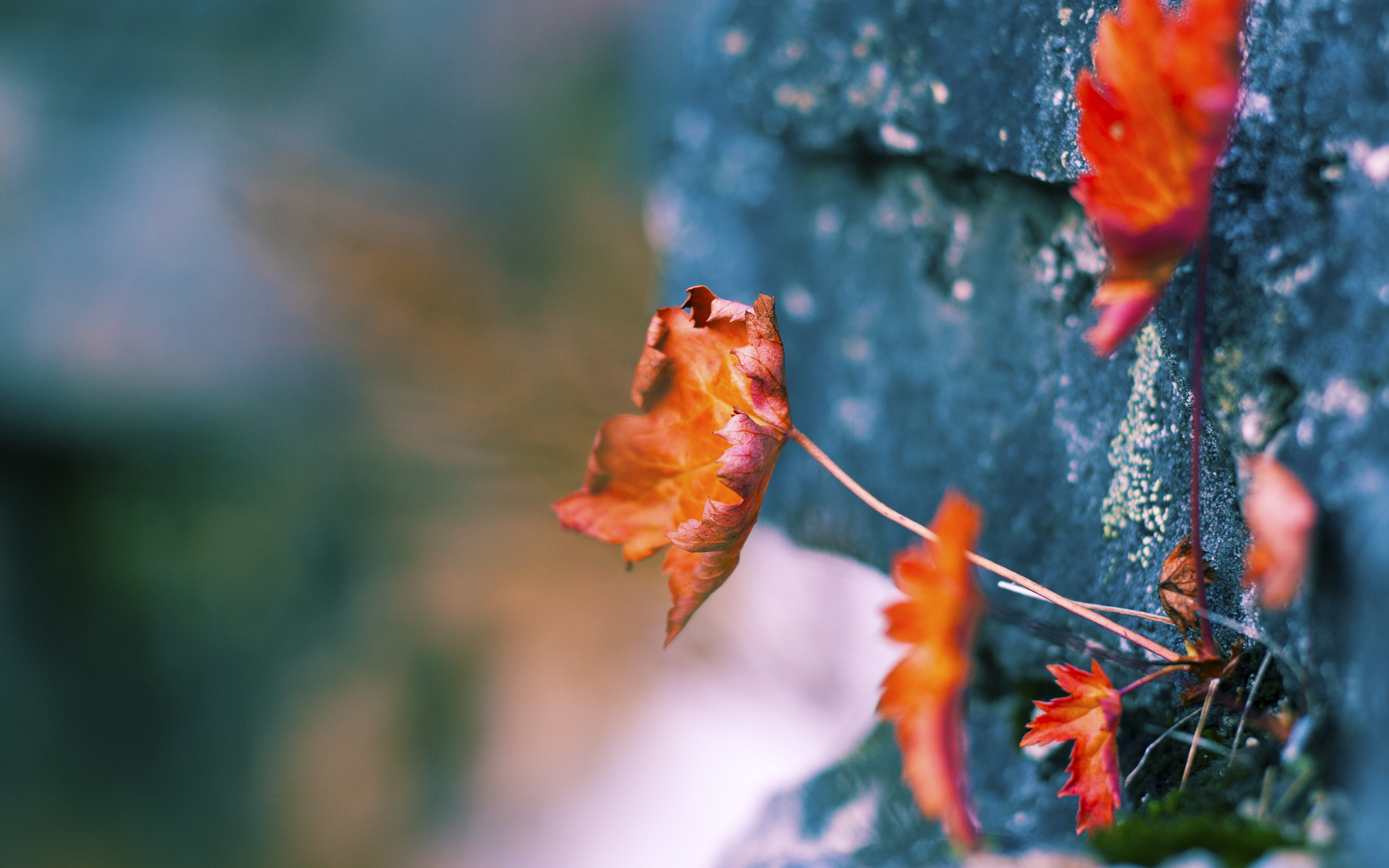 九游网页版官网-青少年足球专项基金持续扩大，为青训提供资金保障，青少年足球政策文件