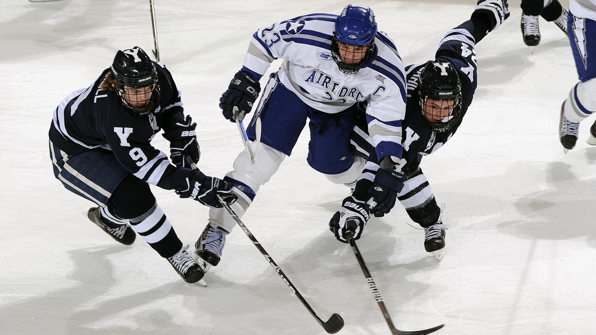 摩洛哥马术协会与学校合作，开展马术教育课程，推广马术文化。